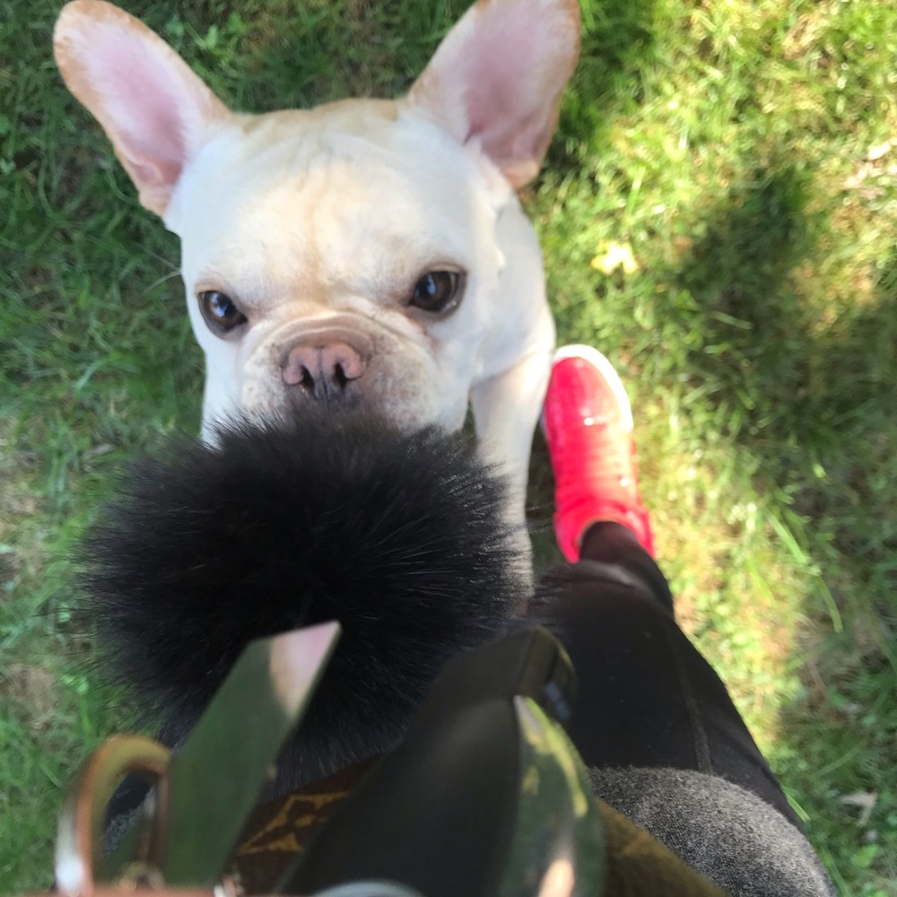 Meet your Posher, Danielle